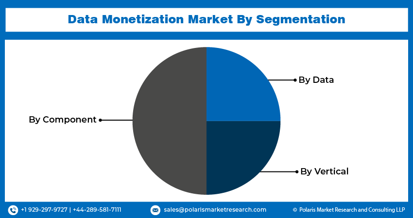 Data Monetization Market seg